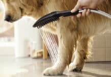 Funktional und stilvoll: Mit hansgrohe zum perfekten „Mudroom“ Funktional und stilvoll: Mit hansgrohe zum perfekten „Mudroom“