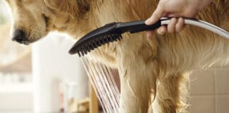 Funktional und stilvoll: Mit hansgrohe zum perfekten „Mudroom“ Funktional und stilvoll: Mit hansgrohe zum perfekten „Mudroom“