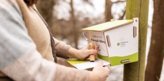 Neuheiten 2025 im Reiseland Schleswig-Holstein Neuheiten 2025 im Reiseland Schleswig-Holstein