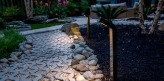 Glanzpunkte im Dunkeln setzen Glanzpunkte im Dunkeln setzen