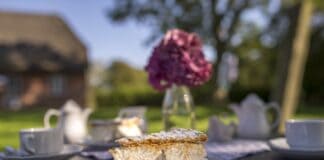 Cafés mit Torte und Historie in Schleswig-Holstein Cafés mit Torte und Historie in Schleswig-Holstein