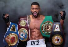 Flensburg wird zur Box-Hauptstadt! Flensburg wird zur Box-Hauptstadt!