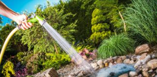 Flensburger Gärten – Wie Sie Ihrem Garten das besondere Etwas verleihen