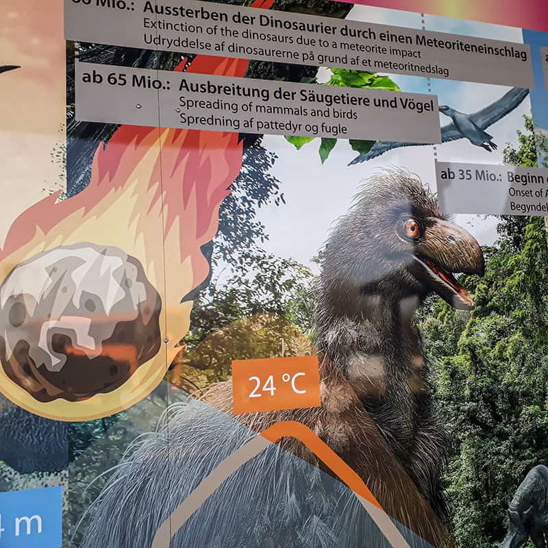 artefact feiert 25 Jahre Klimapark mit neuem Riesenbild