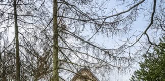 Das Naturwissenschaftliche Museum Flensburg feiert in diesem Jahr seinen 100. Geburtstag! Das Naturwissenschaftliche Museum Flensburg feiert in diesem Jahr seinen 100. Geburtstag!