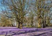 4. April 2025: Tag der offenen Tür – Ihre Klinik Husum zum Anfassen! 4. April 2025: Tag der offenen Tür – Ihre Klinik Husum zum Anfassen!