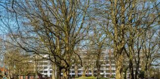 4. April 2025: Tag der offenen Tür – Ihre Klinik Husum zum Anfassen! 4. April 2025: Tag der offenen Tür – Ihre Klinik Husum zum Anfassen!