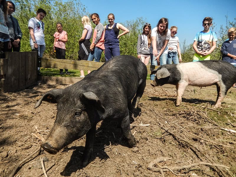 artefact feiert 25 Jahre Klimapark mit neuem Riesenbild