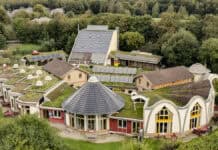 artefact feiert 25 Jahre Klimapark mit neuem Riesenbild artefact feiert 25 Jahre Klimapark mit neuem Riesenbild