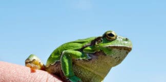 Ein Veranstaltungstipp der etwas anderen Art Ein Veranstaltungstipp der etwas anderen Art