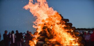 Frühlingserwachen im echten Norden Frühlingserwachen im echten Norden