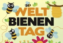 Weltbienentag Weltbienentag