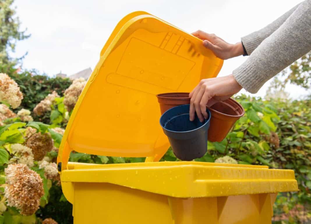 Bioabfall - oder nicht? Abfälle aus Garten und Küche richtig entsorgen