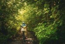 Radfahren im Wald ist nicht überall erlaubt Radfahren im Wald ist nicht überall erlaubt