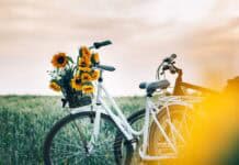 Genussradeln im echten Norden Genussradeln im echten Norden