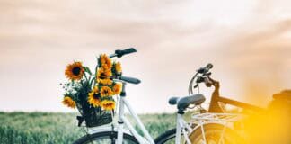 Genussradeln im echten Norden Genussradeln im echten Norden