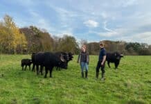 Naturgenuss-Exkursion auf dem Hof Seeland mit Picknick am Stall Naturgenuss-Exkursion auf dem Hof Seeland mit Picknick am Stall