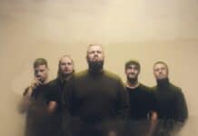 Feine Sahne Fischfilet Feine Sahne Fischfilet