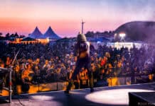 Das SHELTER-Festival 2025 Das SHELTER-Festival 2025