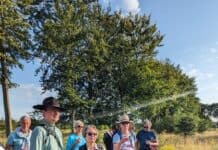 Weinwanderung durch die Geltinger Birk – Natur erleben, Wein genießen Weinwanderung durch die Geltinger Birk – Natur erleben, Wein genießen