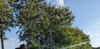 Weinwanderung durch die Geltinger Birk – Natur erleben, Wein genießen Weinwanderung durch die Geltinger Birk – Natur erleben, Wein genießen