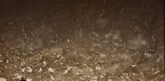 Flensburger Hofkultur: Quadro Nuevo Flensburger Hofkultur: Quadro Nuevo