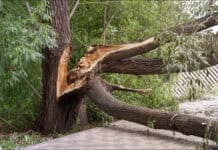 Grundstücksbesitz erfordert Vorsorge Grundstücksbesitz erfordert Vorsorge