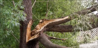 Grundstücksbesitz erfordert Vorsorge Grundstücksbesitz erfordert Vorsorge