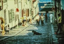 Der Oluf-Samson-Gang – Idylle und Konflikt im Hafenquartier Der Oluf-Samson-Gang – Idylle und Konflikt im Hafenquartier