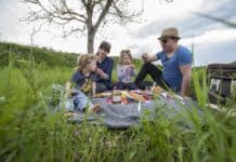 Zecken: Klein, aber gemein Zecken: Klein, aber gemein