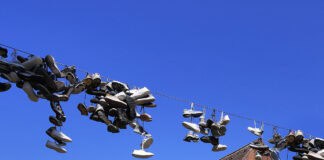 Stadtführungen in Flensburg im Juli 2025 Stadtführungen im Juli 2025