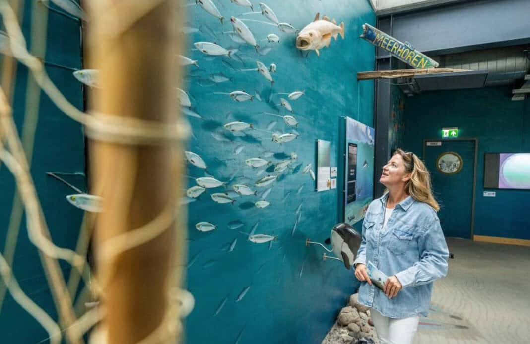 Wasserwelten Ostsee und Binnenland: Entdeckungen zwischen Küste, Seen und Flüssen