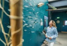 Wasserwelten Ostsee und Binnenland: Entdeckungen zwischen Küste, Seen und Flüssen Wasserwelten Ostsee und Binnenland: Entdeckungen zwischen Küste, Seen und Flüssen