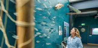 Wasserwelten Ostsee und Binnenland: Entdeckungen zwischen Küste, Seen und Flüssen Wasserwelten Ostsee und Binnenland: Entdeckungen zwischen Küste, Seen und Flüssen