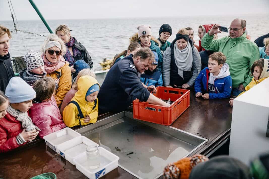 Kurze Auszeiten: Ein Tag im echten Norden
