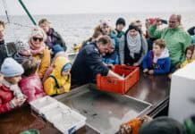 Kurze Auszeiten: Ein Tag im echten Norden Kurze Auszeiten: Ein Tag im echten Norden