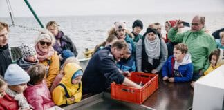 Kurze Auszeiten: Ein Tag im echten Norden Kurze Auszeiten: Ein Tag im echten Norden