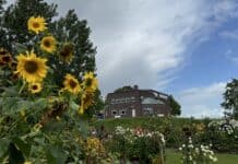 Mit dem Rad durch die Nolde-Landschaft –  zum Abschluss Naturgenuss-Menü im „Element“ Mit dem Rad durch die Nolde-Landschaft – zum Abschluss Naturgenuss-Menü im „Element"