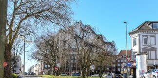 Burgplatz: Seit 50 Jahren die heutige Form Burgplatz: Seit 50 Jahren die heutige Form