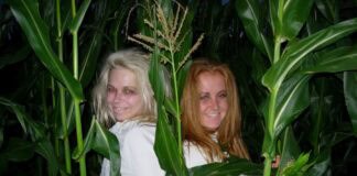 Gespensternächte im Maislabyrinth Gespensternächte im Maislabyrinth