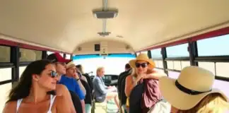 Strandshuttle der Gemeinde Harrislee Strandshuttle der Gemeinde Harrislee