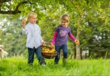 Apfelbäume im Herbst pflanzen Apfelbäume im Herbst pflanzen