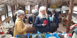 2. Glücksburger Saatgutbörse bei artefact 2. Glücksburger Saatgutbörse bei artefact