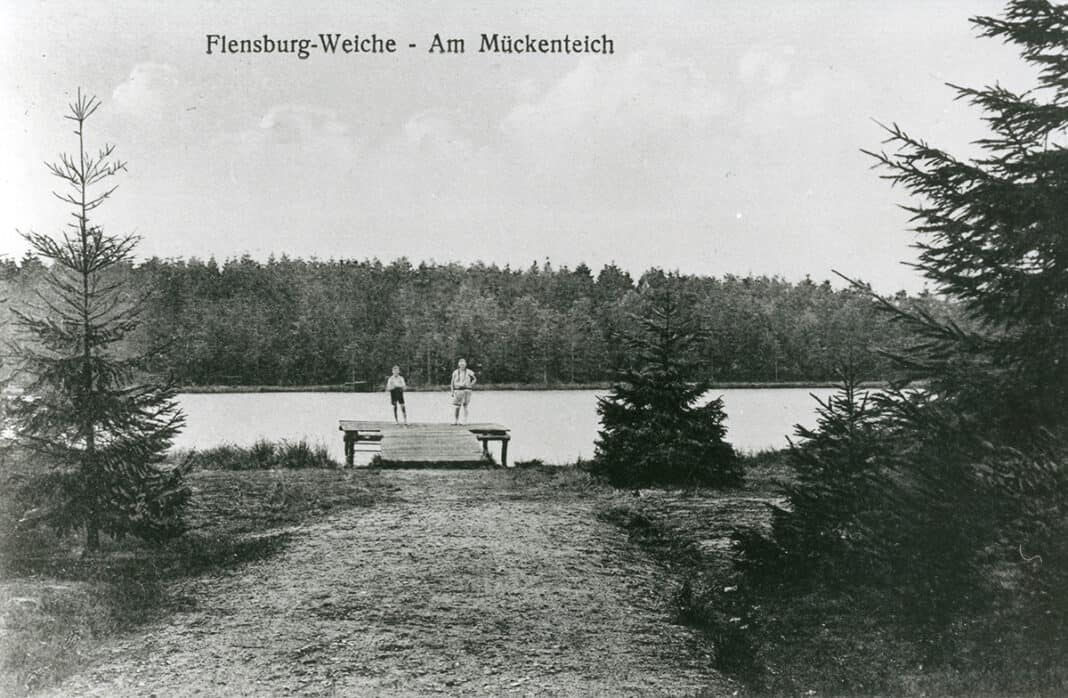 Geheimnisse des Mückenwaldes, Teil 1