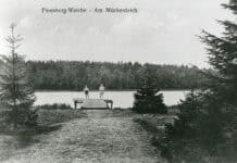 Geheimnisse des Mückenwaldes, Teil 1 Geheimnisse des Mückenwaldes, Teil 1