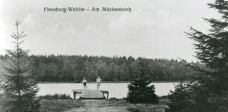 Geheimnisse des Mückenwaldes, Teil 1 Geheimnisse des Mückenwaldes, Teil 1