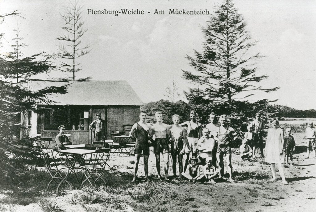 Geheimnisse des Mückenwaldes, Teil 1