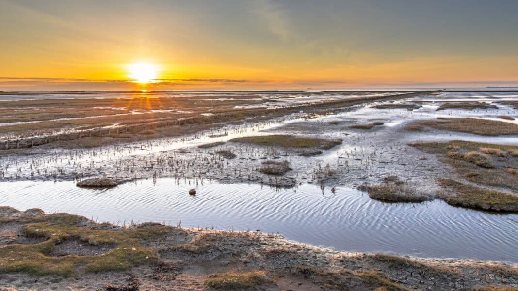 Naturerlebnis Wattenmeer
