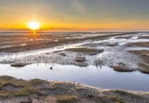 Naturerlebnis Wattenmeer Naturerlebnis Wattenmeer