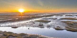 Naturerlebnis Wattenmeer Naturerlebnis Wattenmeer